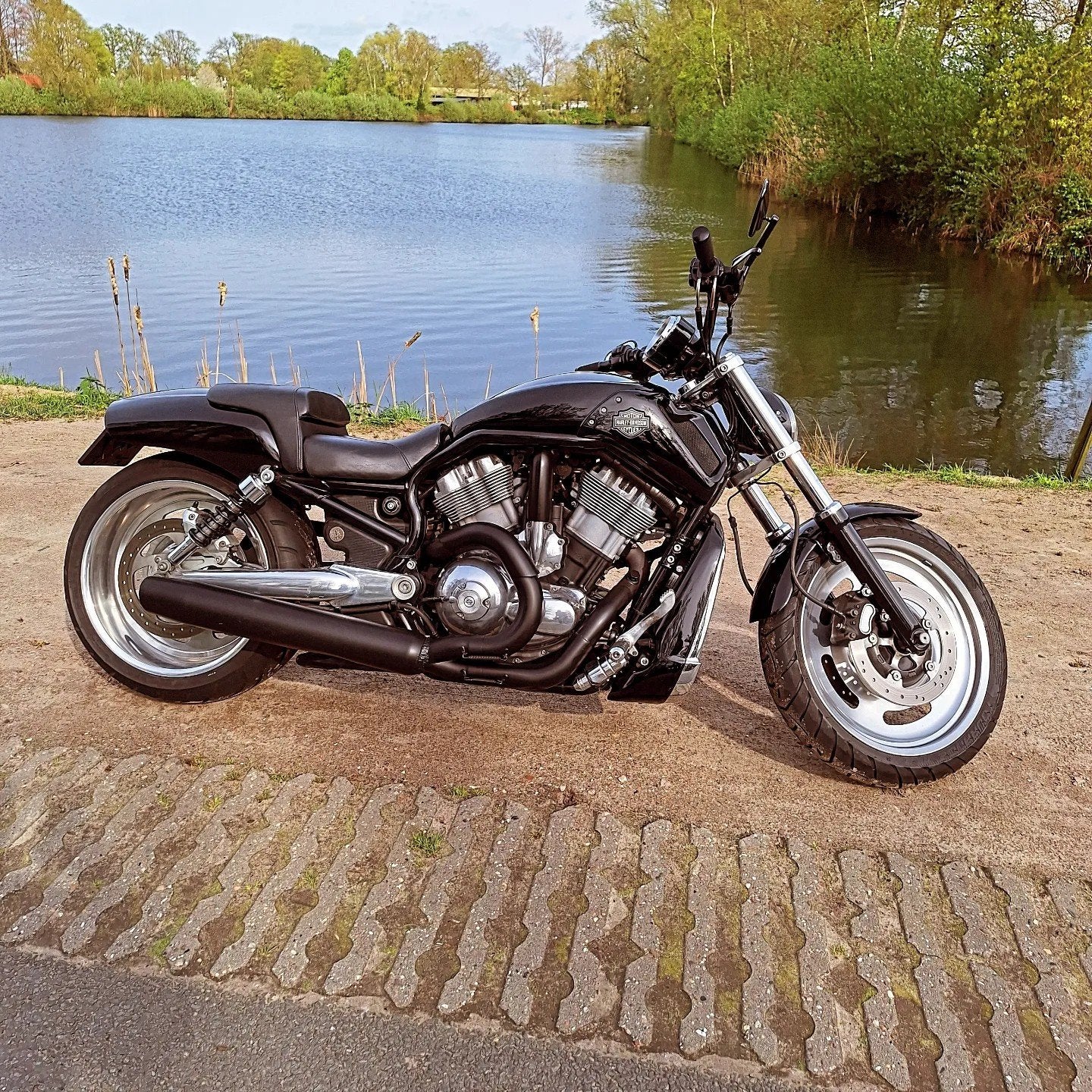 Harley-Davidson V-Rod VRSCB Muscle look, Particulier, Chopper