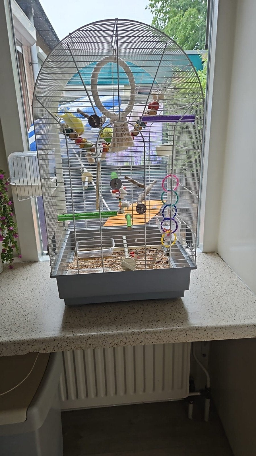 Mooi kooi compleet, Dieren en Toebehoren, Vogels | Hokken en Kooien, Ophalen of Verzenden, Zo goed als nieuw, Metaal, Vogelkooi