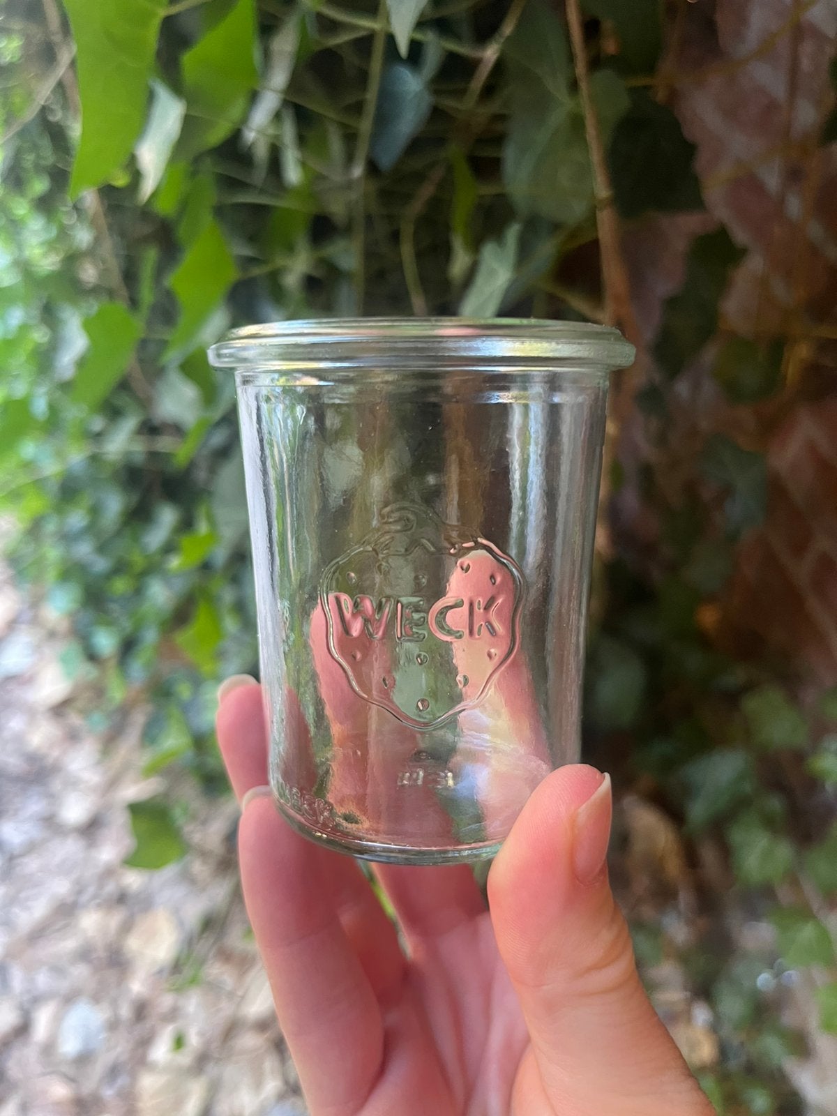 15 x kleine weckpotjes - NIEUW!!, Ophalen of Verzenden, Nieuw, Glas, Overige stijlen