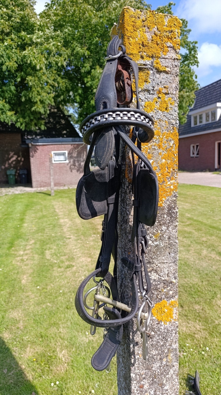 Men tuig enkelspan paard, Ophalen of Verzenden, Overige soorten