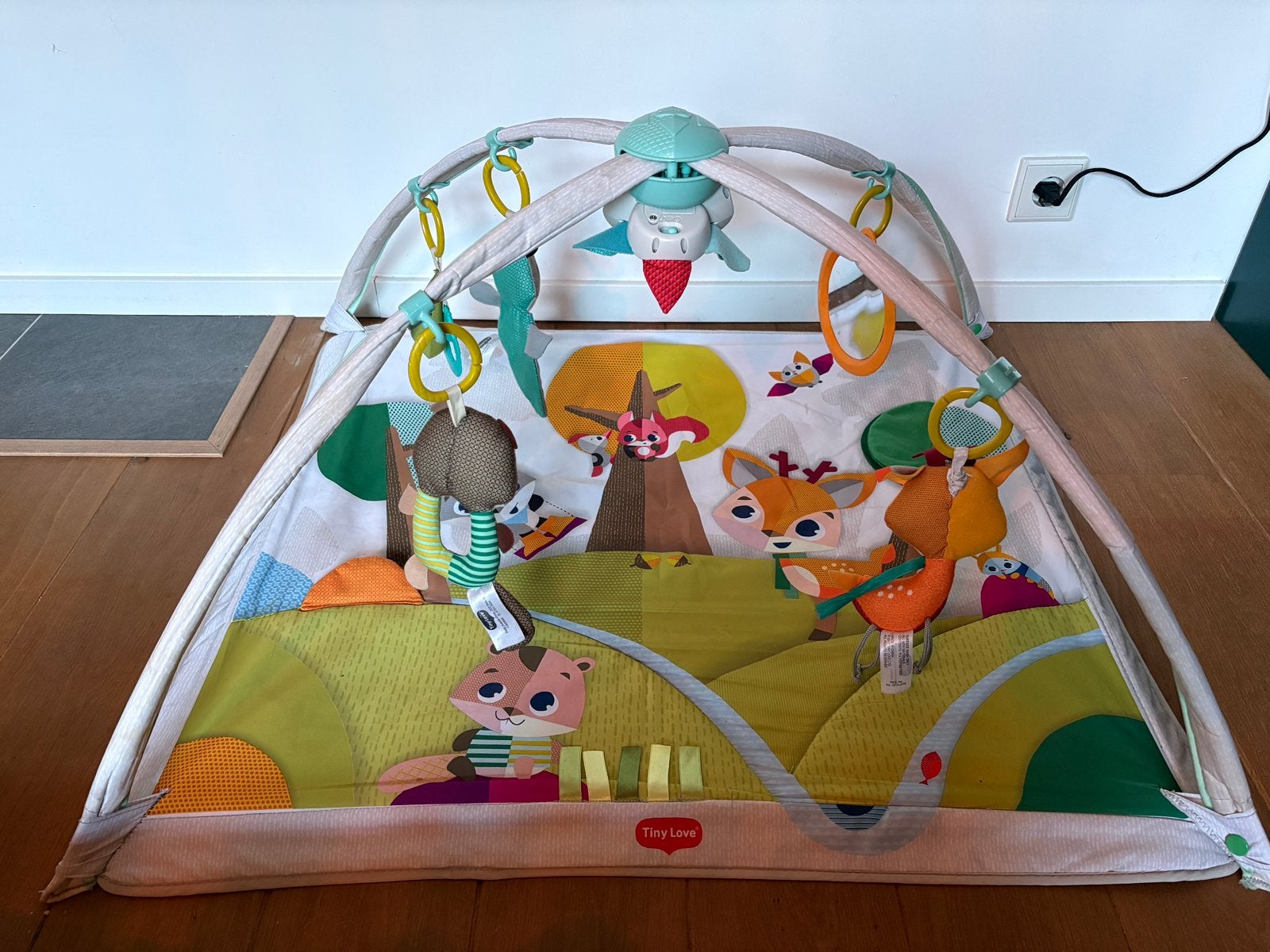 Tiny Love babygym, Ophalen, Gebruikt