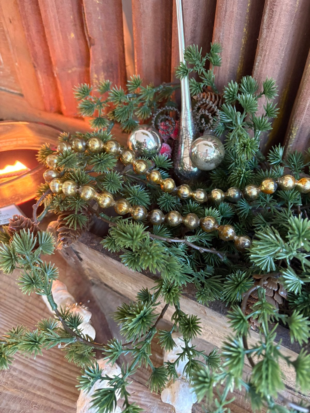 Antieke glazen kerstketting, Bloeit niet, Halfschaduw, Minder dan 100 cm, Overige soorten