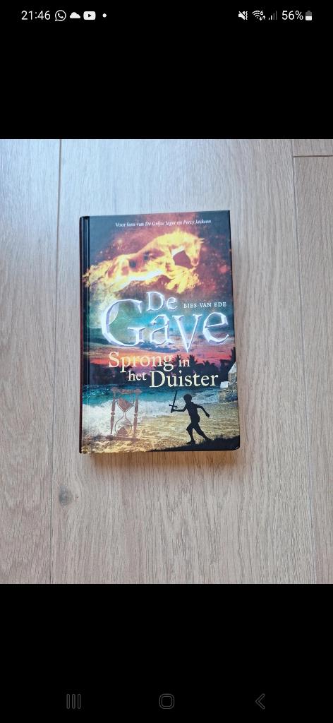 De Gave, sprong in het duister (hardcover), Ophalen of Verzenden, Zo goed als nieuw, Bies van Ede, Fictie