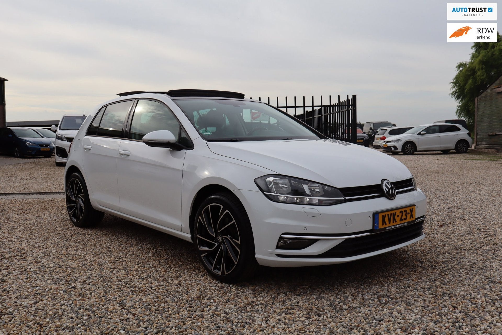 Volkswagen GOLF 1.0 TSI Comfortline PANO KEYLESS APP CONNECT, Wit, Bedrijf, Handgeschakeld, Golf