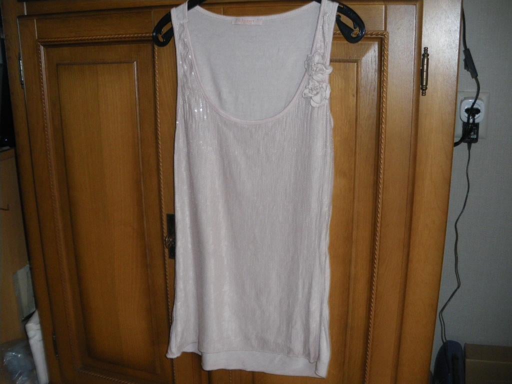 nieuw heel leuk roze glans zomer topje g ricceri maat 38, Ophalen of Verzenden, Nieuw, Maat 38/40 (M), Roze
