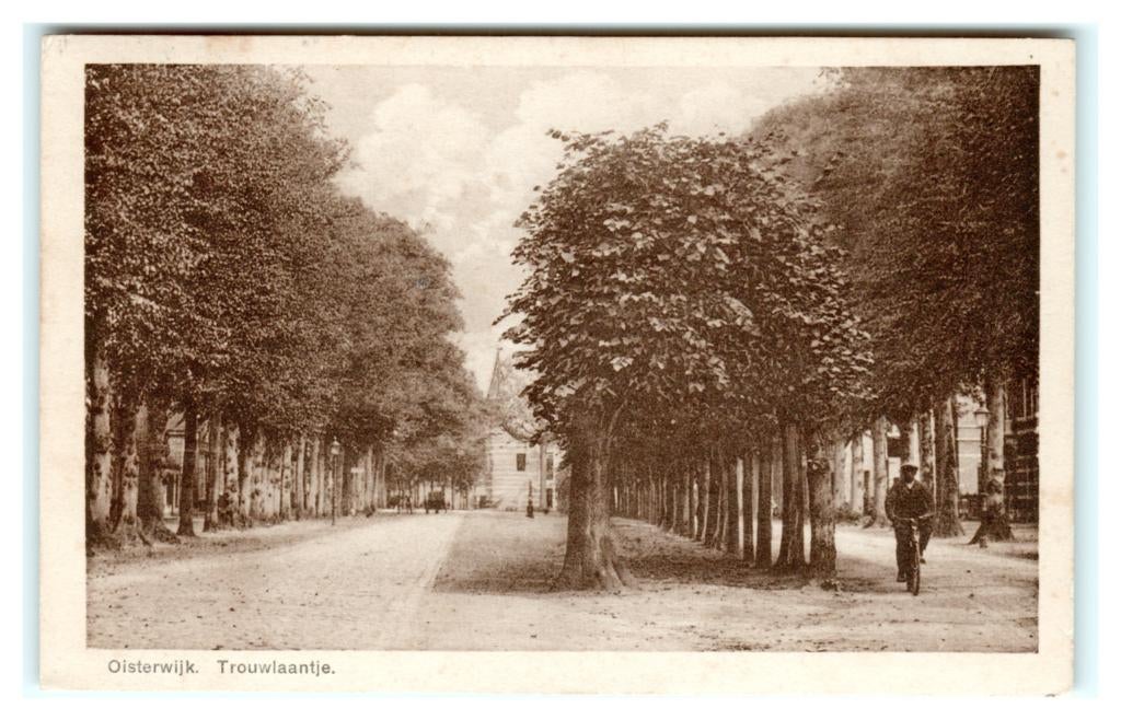 Oisterwijk, Trouwlaantje, Verzenden, 1920 tot 1940, Gelopen, Noord-Brabant