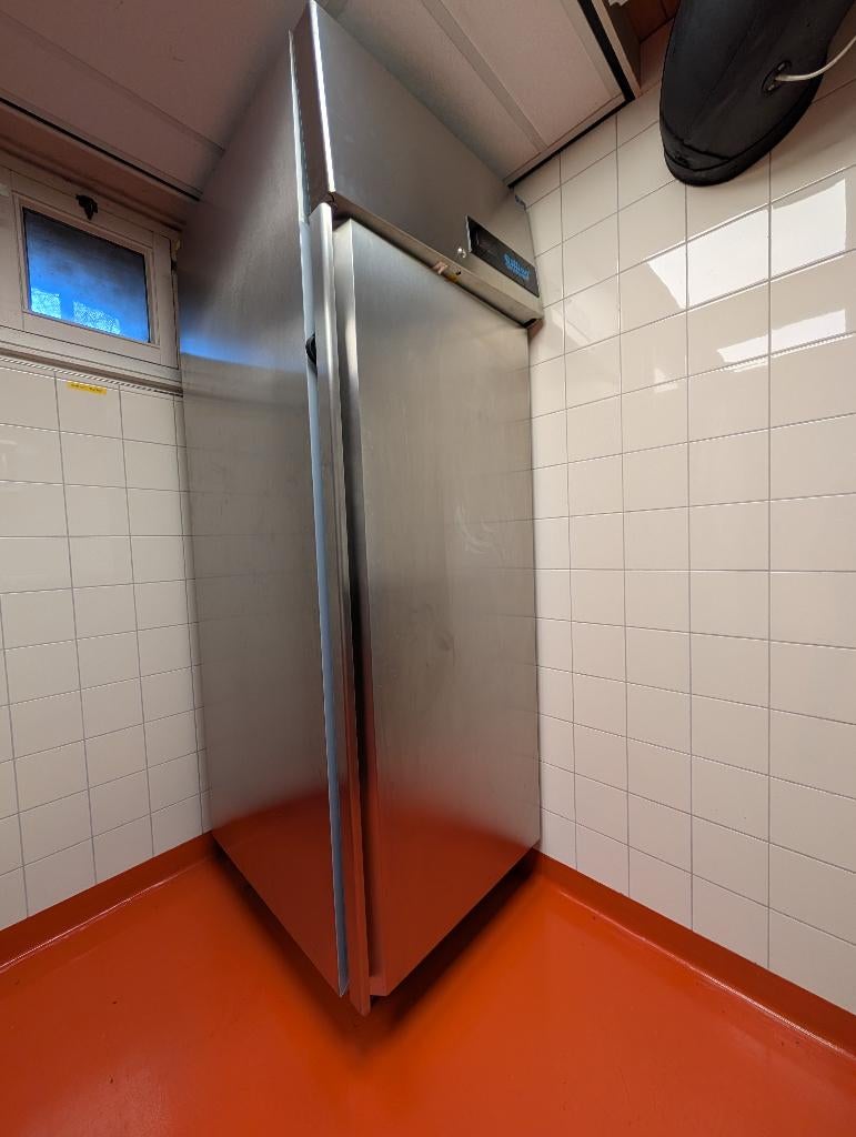 Horeca diepvries merk Rilling, Witgoed en Apparatuur, Vriezers en Diepvrieskisten, Gebruikt, 160 cm of meer, Ophalen, Vrieskast