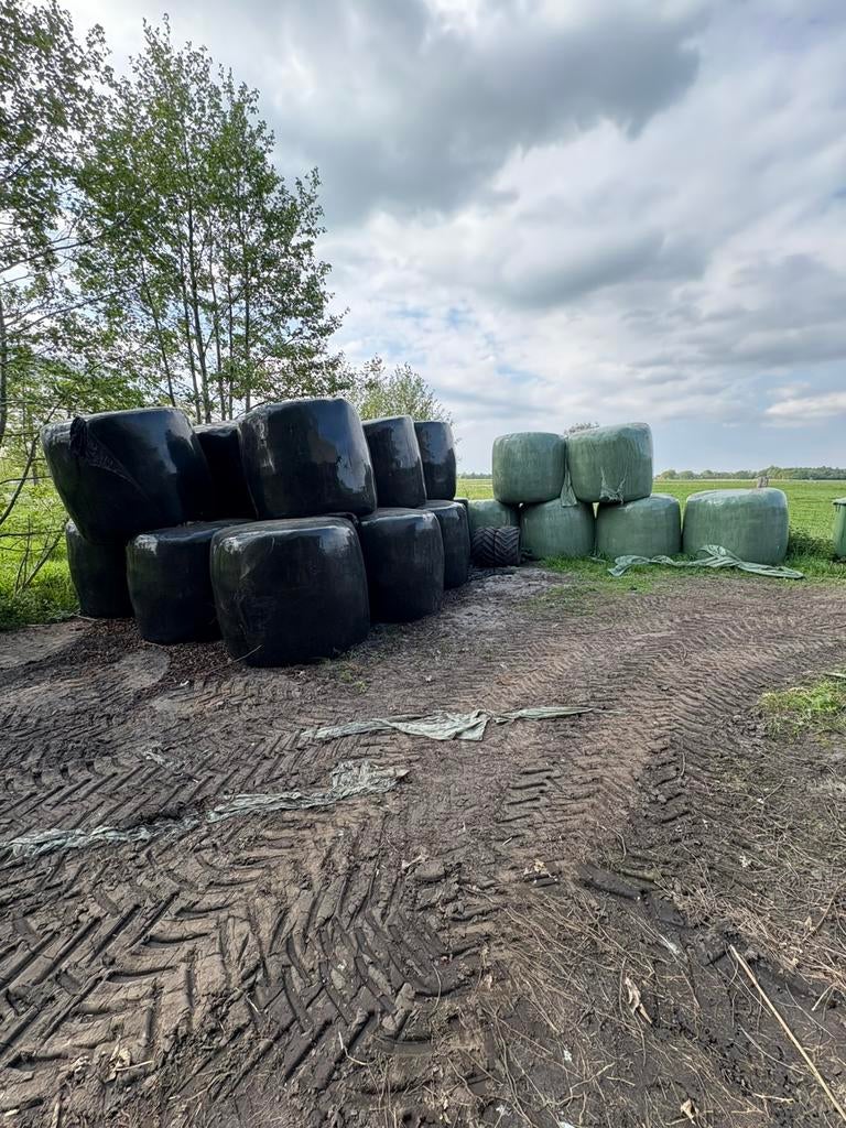 1ste snee droog kuil, Dieren en Toebehoren, Dierenvoeding, Ophalen of Verzenden, Vee