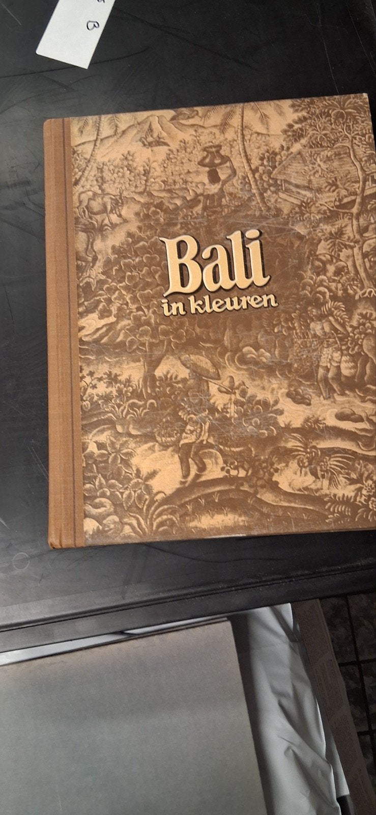 Bali in kleuren - Prachtig geïllustreerd boek, Ophalen of Verzenden, Gelezen, Onbekend, Wereld overig
