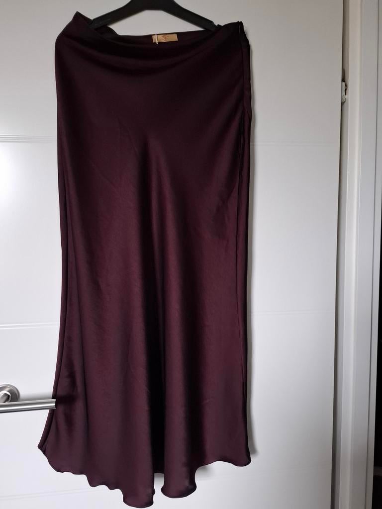 Mooie aubergine kleurige rok, Kleding | Dames, Rokken, Ophalen of Verzenden