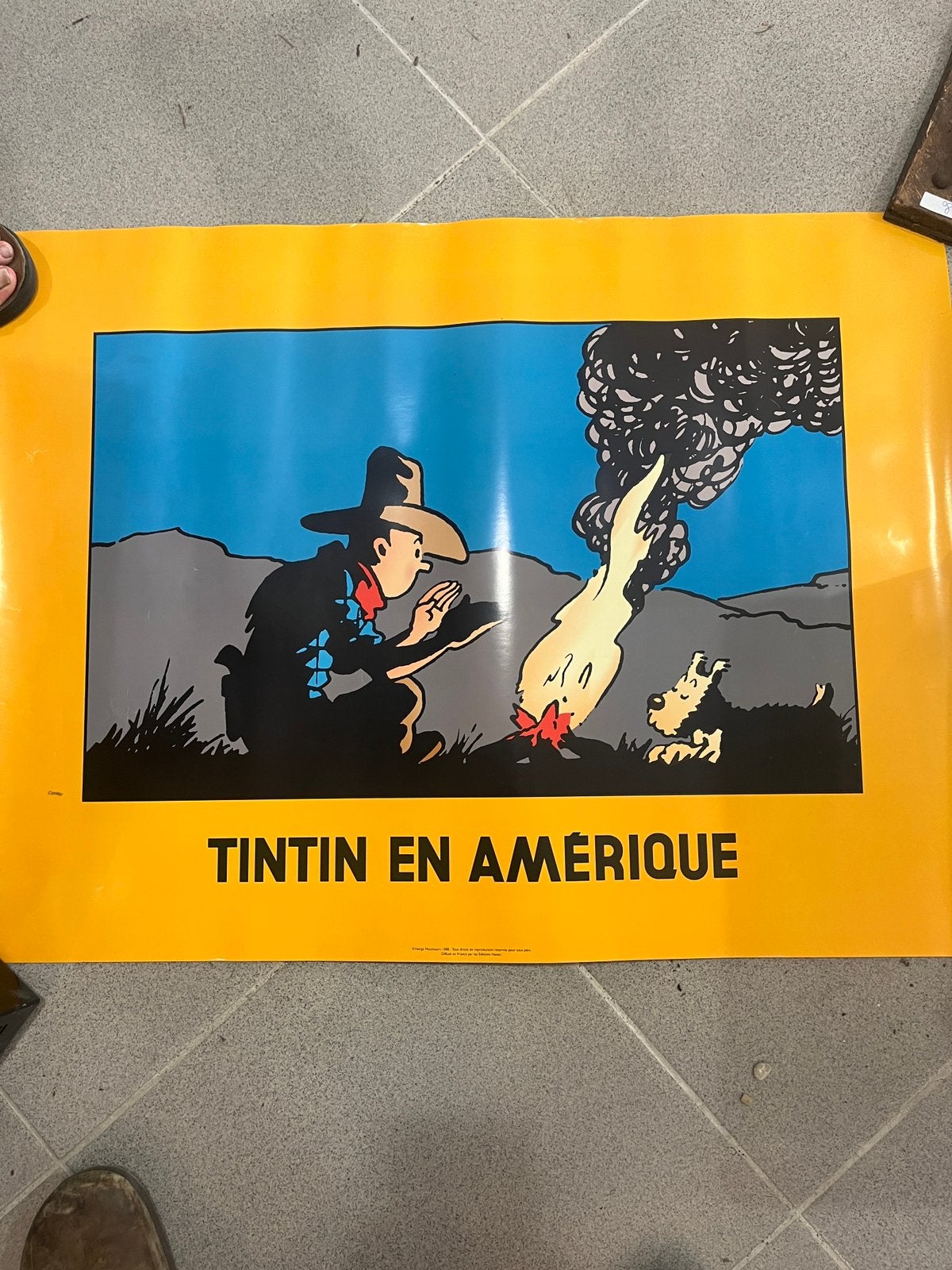Tintin - kuifje poster, Ophalen, Zo goed als nieuw, A1 t/m A3, Film en Tv