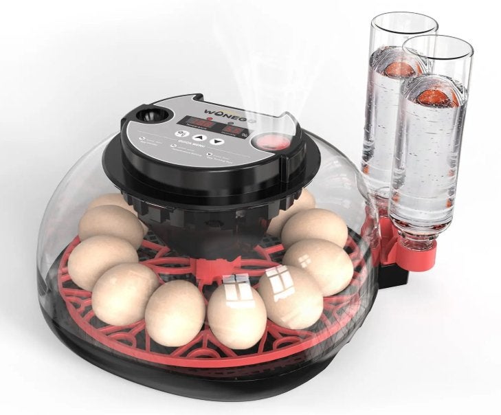 Automatische broedmachine voor 12 eieren, Dierenverlichting@outlook.com, Nieuw, Dierenverlichting Kooiker, Broedmachine