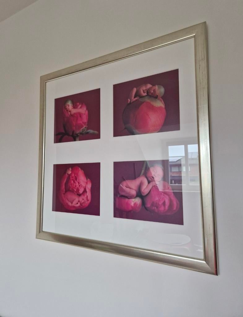Anne Geddes platen ingelijst, Ophalen, Zo goed als nieuw, Hout