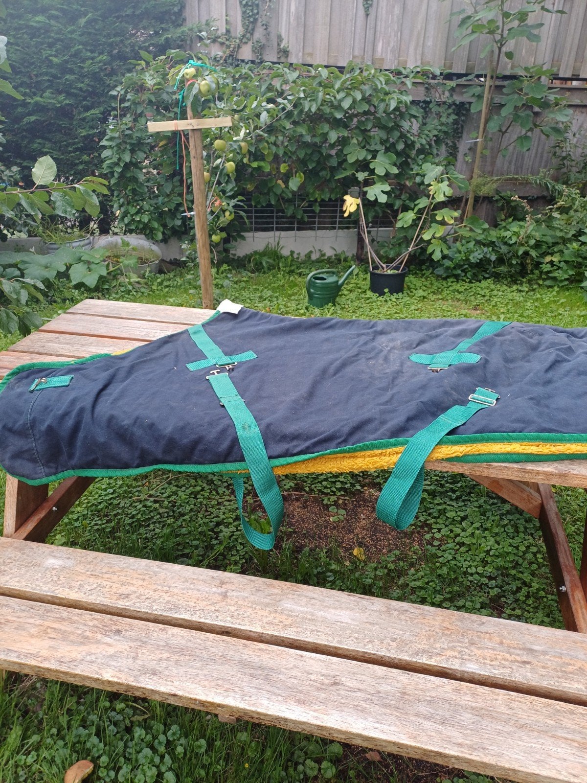 Gevoerde paardendeken gratis voor bosje bloemen, Dieren en Toebehoren, Ophalen, Gebruikt, Overige merken, Overige typen