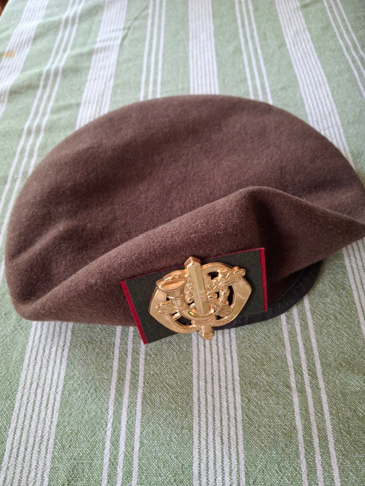 Baret Limburgse Jagers, Ophalen of Verzenden, Landmacht, Nederland, Helm of Baret