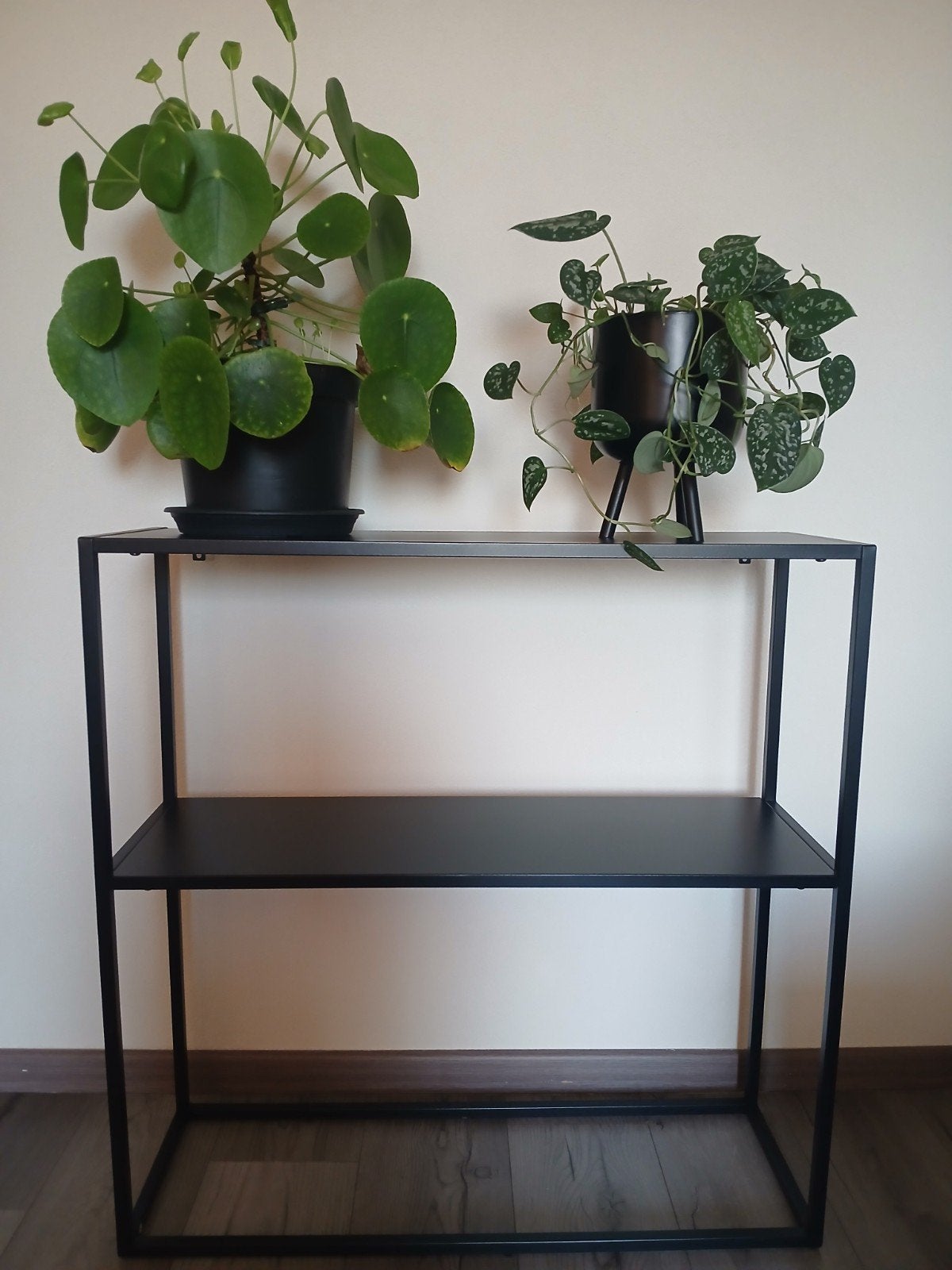 Zwarte metalen rek met twee planten, Modern, Industrieel, Zo goed als nieuw, Minder dan 25 cm, Minder dan 100 cm