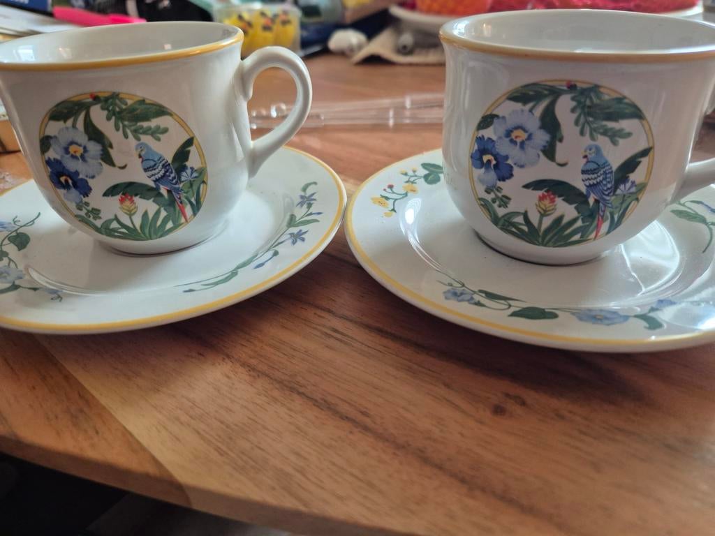 Vitromaster Kop en Schotel Set met Vogel en Bloemen, Ophalen, Zo goed als nieuw, Overige stijlen, Kop(pen) en/of Schotel(s)