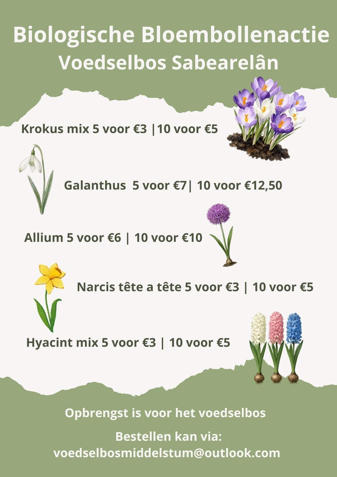 Biologische Bloembollen krokus, Tuin en Terras, Ophalen of Verzenden, Najaar, Volle zon, Bloembol