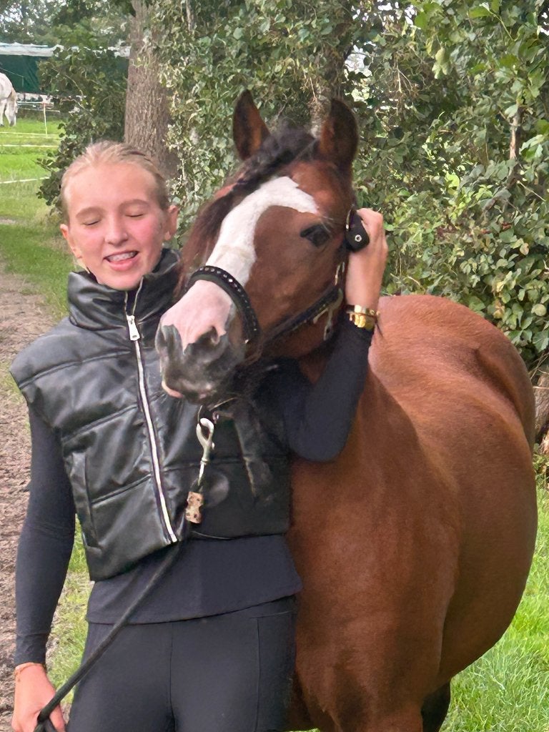 C Pony Lady  Ierse Welsh Pony, Merrie, M, Springpony, C pony (1.27m tot 1.37m)