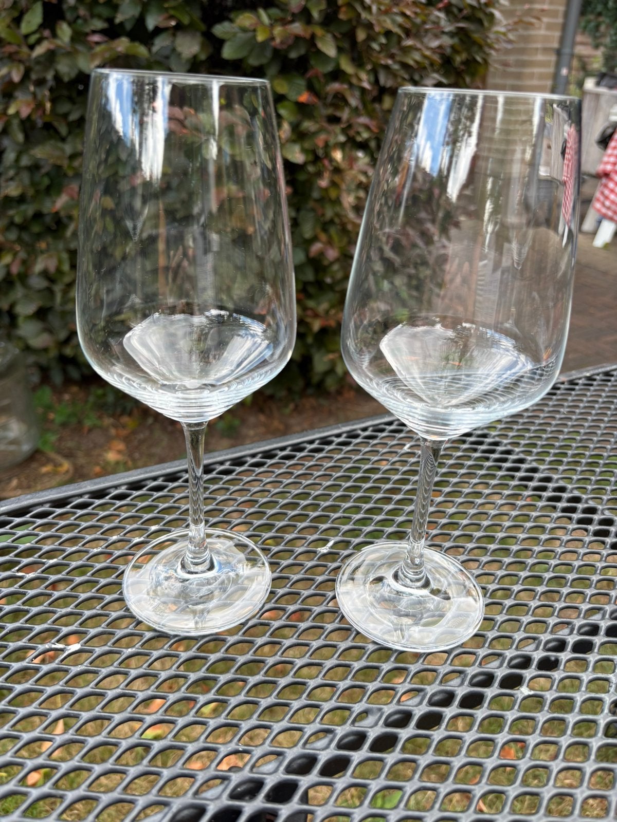 2 wijnglazen Schott Zwiesel, Verzamelen, Ophalen of Verzenden, Zo goed als nieuw, Overige typen