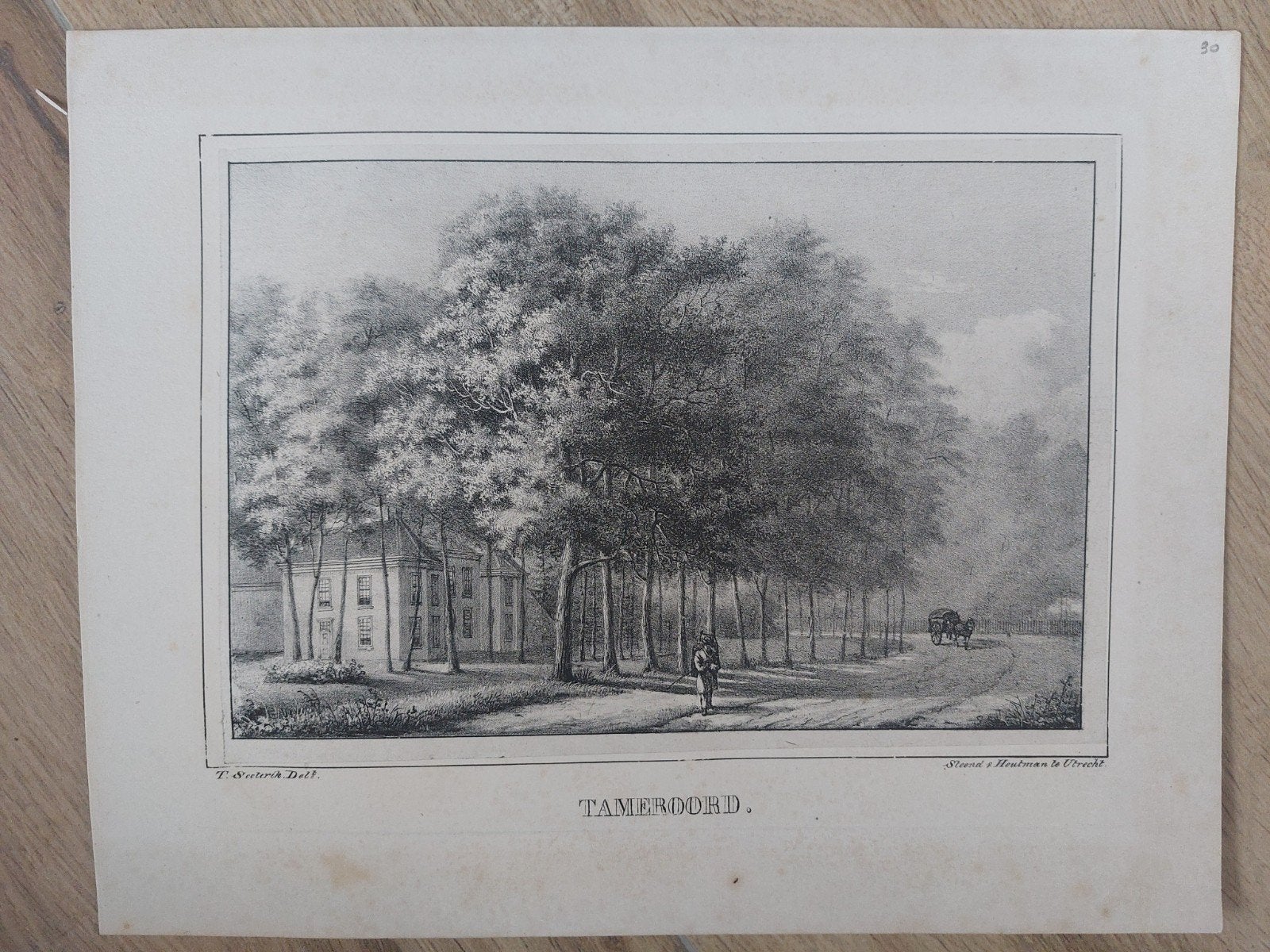 30 Tameroord De Bilt - Originele steendruk uit 1829, Antiek en Kunst, Gesigneerd in de plaat, Ophalen of Verzenden, Landschappen