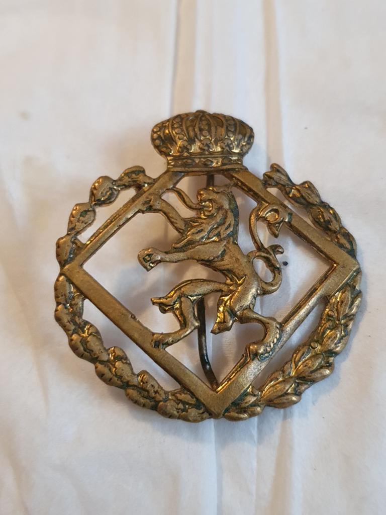 Militair embleem Landmacht: Nederlandse Leeuw met kroon, Ophalen of Verzenden, Landmacht, Nederland, Embleem of Badge