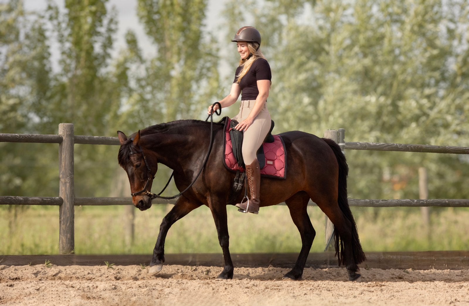 Gevoelige spaanse merrie, Merrie, E pony (1.48m - 1.57m), Recreatiepony, 11 jaar of ouder