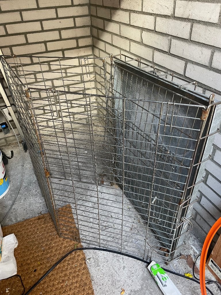 Bench voor  hond, Ophalen of Verzenden, Gebruikt, Overige