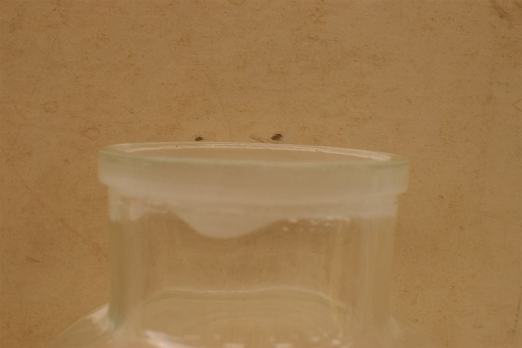 Grote Glazen voorraadpot met deksel 44161, Gebruikt, Ophalen of Verzenden, Bord(en), Overige stijlen