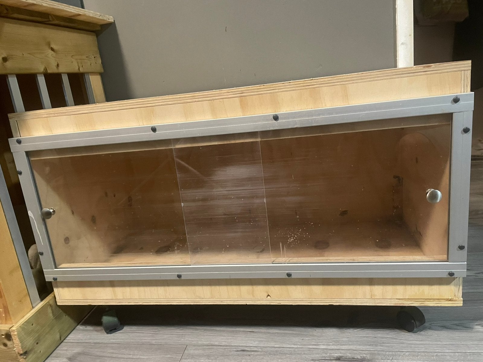 Terrarium incl. 2 koningspythons m/v, Dieren en Toebehoren, Reptielen en Amfibieën, Slang, Met terrarium, 3 tot 6 jaar
