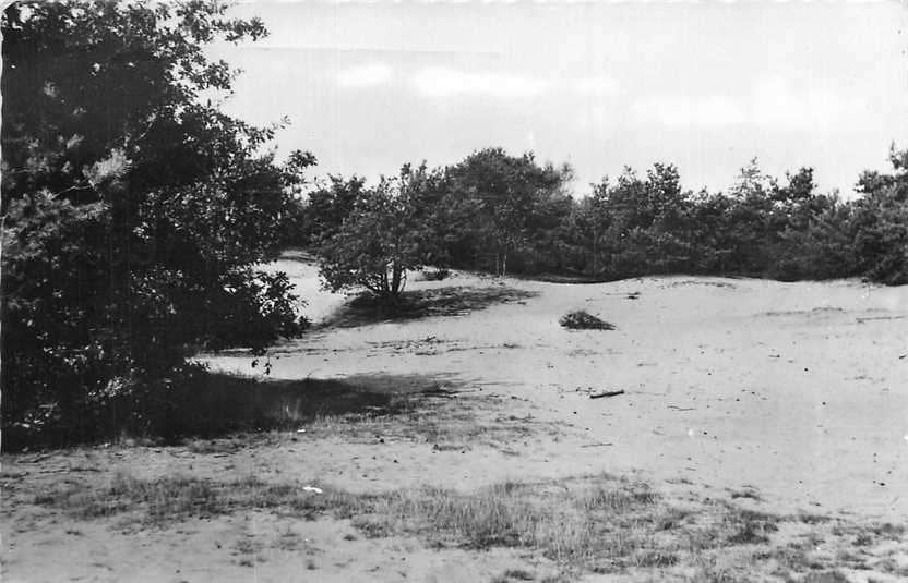 300-022-011 Sint Anthonis De Ullingse Bergen, Verzenden, Voor 1920, Noord-Brabant
