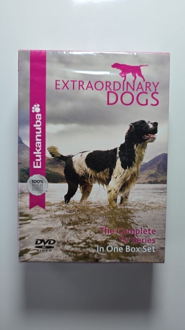 EXTRAORDINARY DOGS (IN SEAL) (DVD), Vanaf 16 jaar, Verzenden, Zo goed als nieuw, Actie en Avontuur