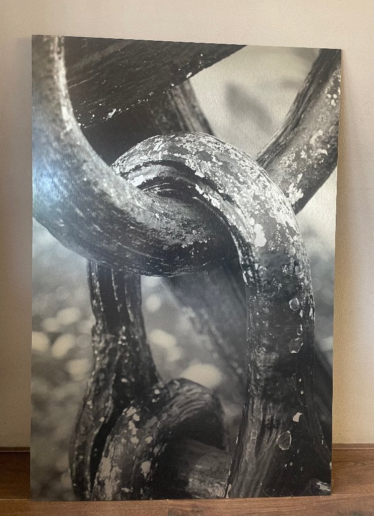 Anker op aluminium paneel 80x120 cm, Ophalen, Metaal, 120 cm, Decoratieobject