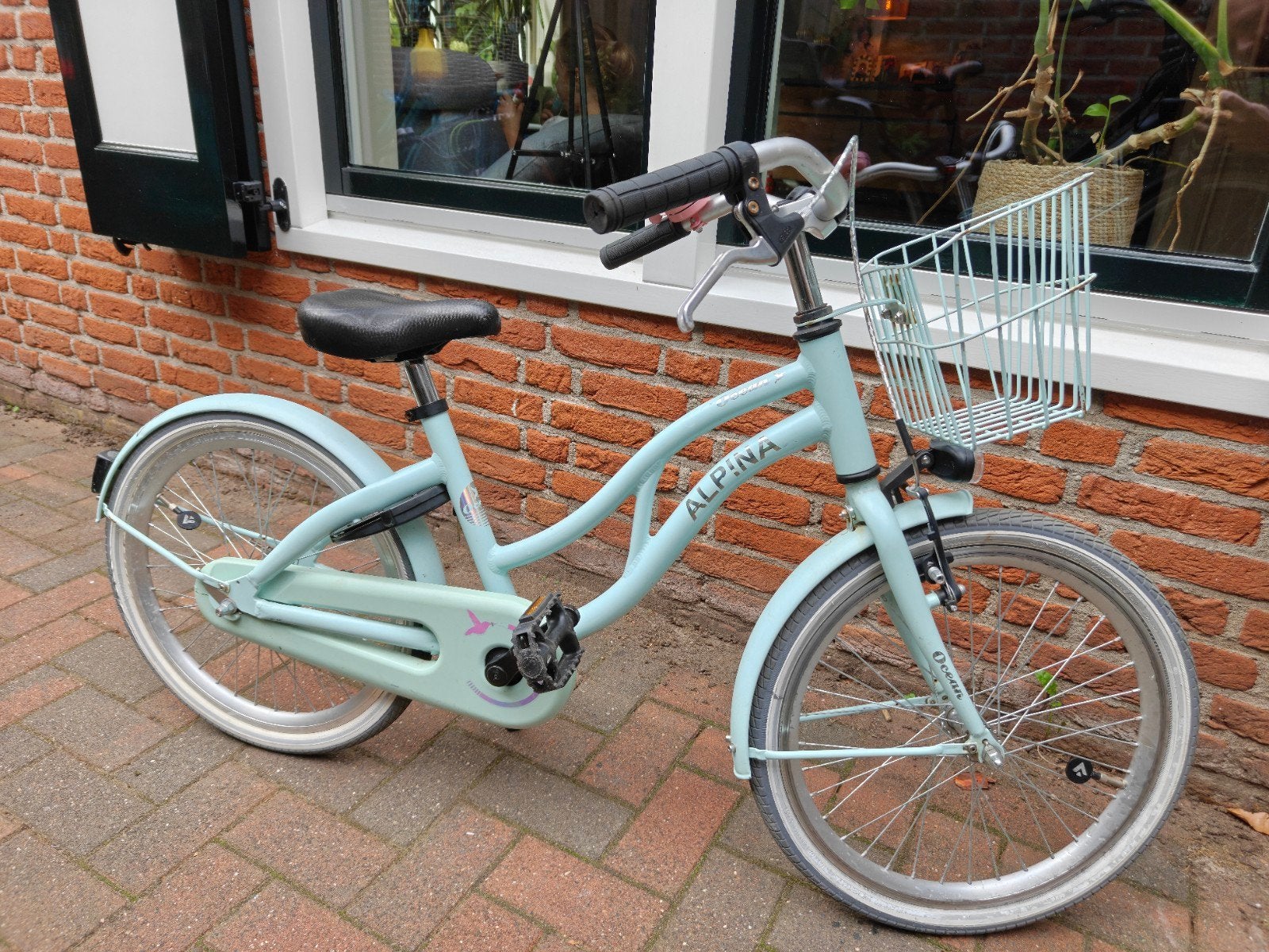 Alpina Ocean 20 inch meisjesfiets, Fietsen en Brommers, Ophalen, Terugtraprem, Alpina, 20 inch