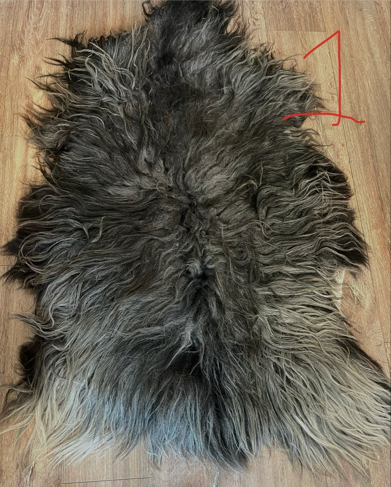 Unieke gelooide vacht van Drents Heideschaap, 100 tot 150 cm, Nieuw, 50 tot 100 cm, Ophalen of Verzenden