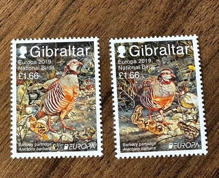 Gibraltar 2019 Europa Nationale Vogels - Barbarijse Patrijs, Ophalen of Verzenden, Postfris
