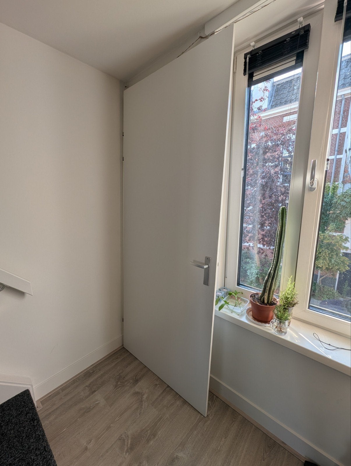 Witte binnendeur, zo goed als nieuw (231x95x3.8cm), Ophalen, Zo goed als nieuw, Binnendeur, 215 cm of meer