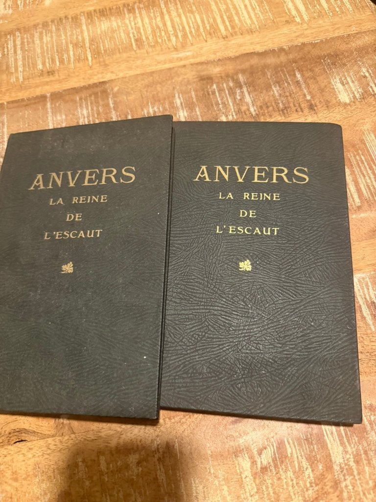 Anvers La reine de l'escaut - Constant Noppen II - III, Gelezen, 19e eeuw, Ophalen of Verzenden, Constant Noppen
