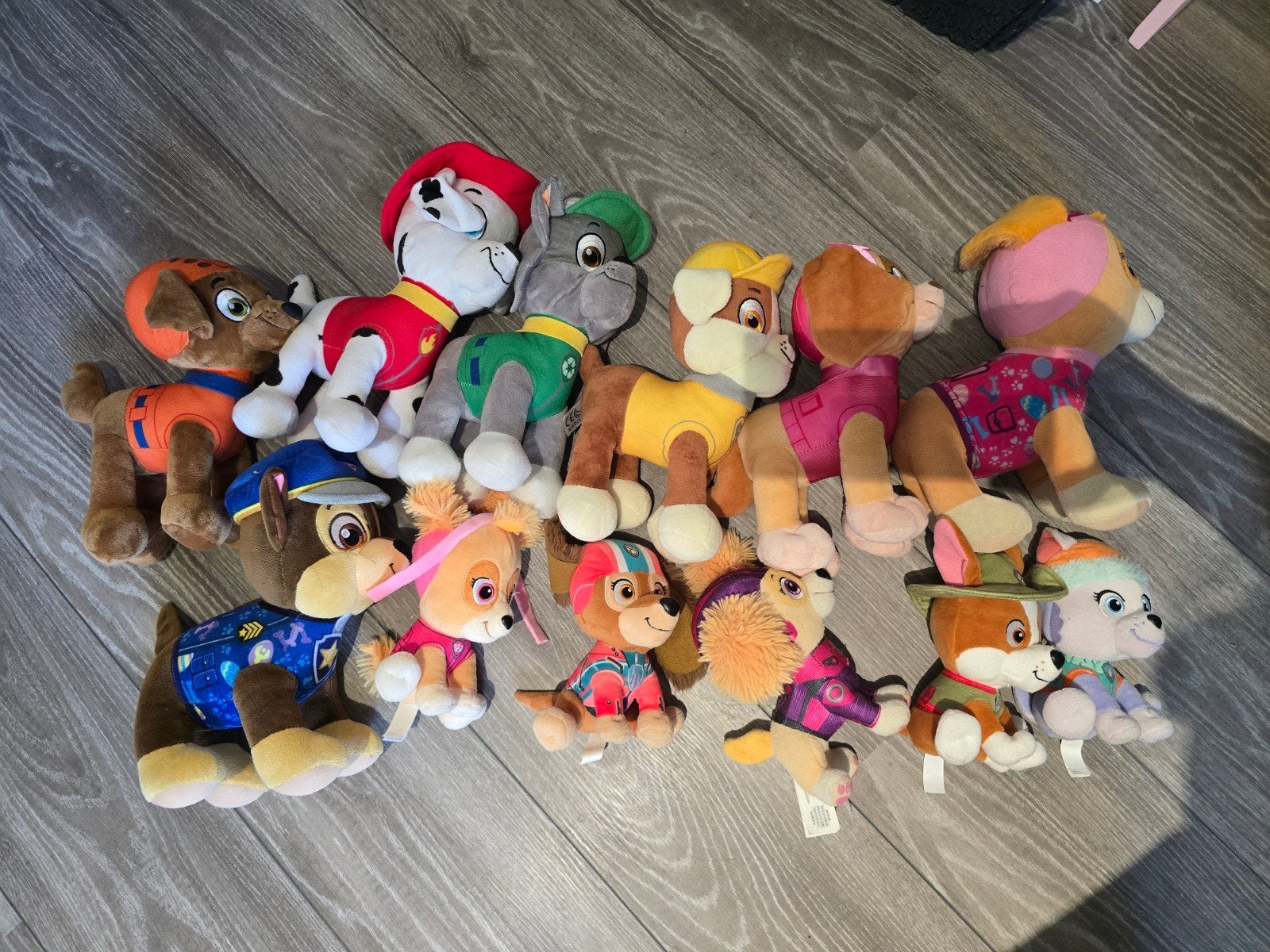 Paw patrol knuffels, Kinderen en Baby's, Paw Patrol, Ophalen, Zo goed als nieuw, Hond