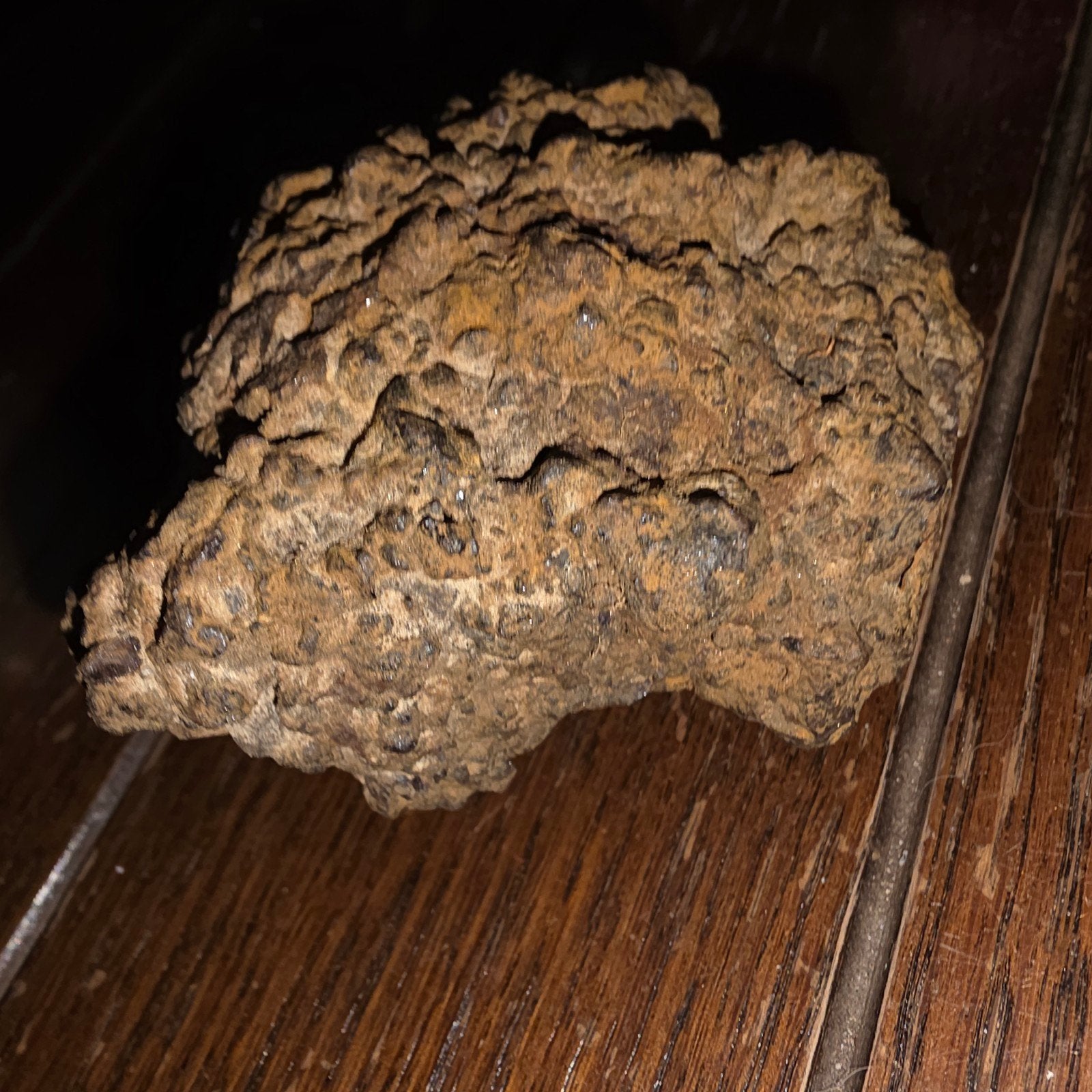 Pallasiet ongeclassificeerde NWA meteoriet, Verzamelen, Mineralen en Fossielen, Ophalen of Verzenden