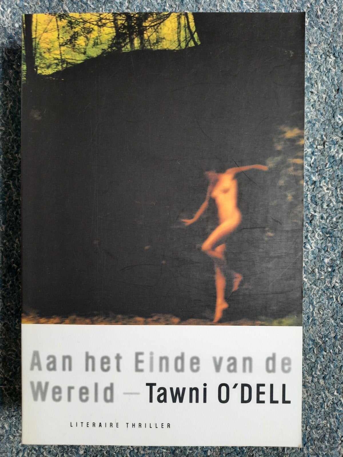 T. O'Dell - Aan het einde van de wereld, Boeken, Ophalen of Verzenden, Zo goed als nieuw, T. O'Dell