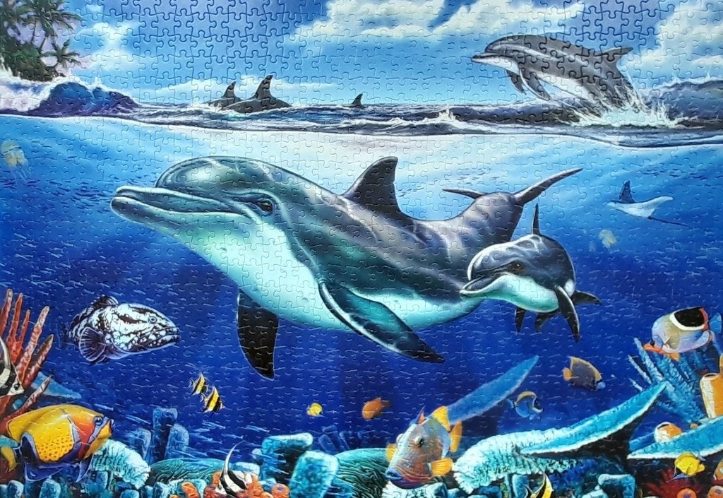 Dolfijnen onderwater puzzel - 1000 stukjes, Ophalen of Verzenden, 500 t/m 1500 stukjes, Zo goed als nieuw, Legpuzzel