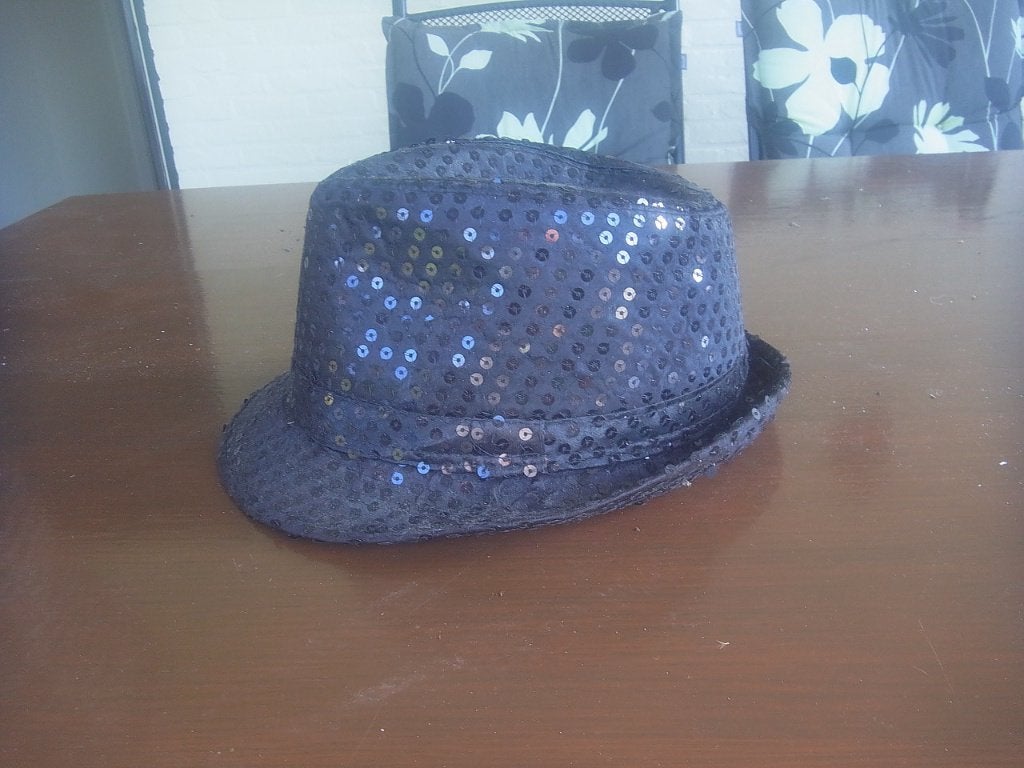 hoedje carnaval, Ophalen of Verzenden, Zo goed als nieuw, Carnaval