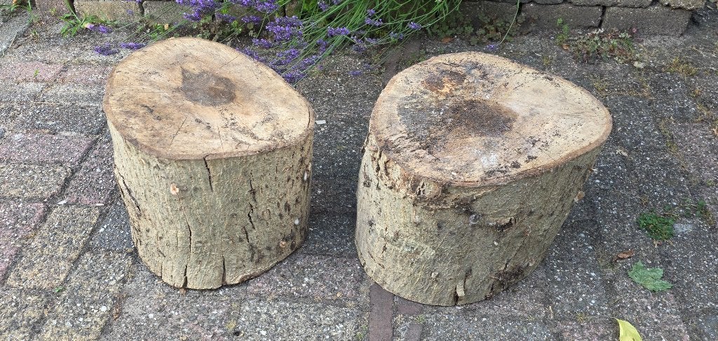 Twee flinke stukken walnootboom, Hobby en Vrije tijd, Ophalen, Nieuw