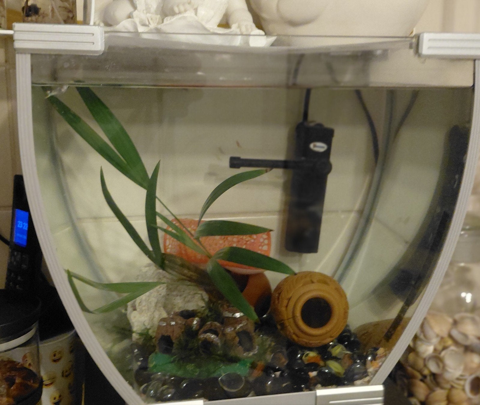 ayarium met guppies en toebehoren, Dieren en Toebehoren, Vissen | Aquariumvissen, Vis