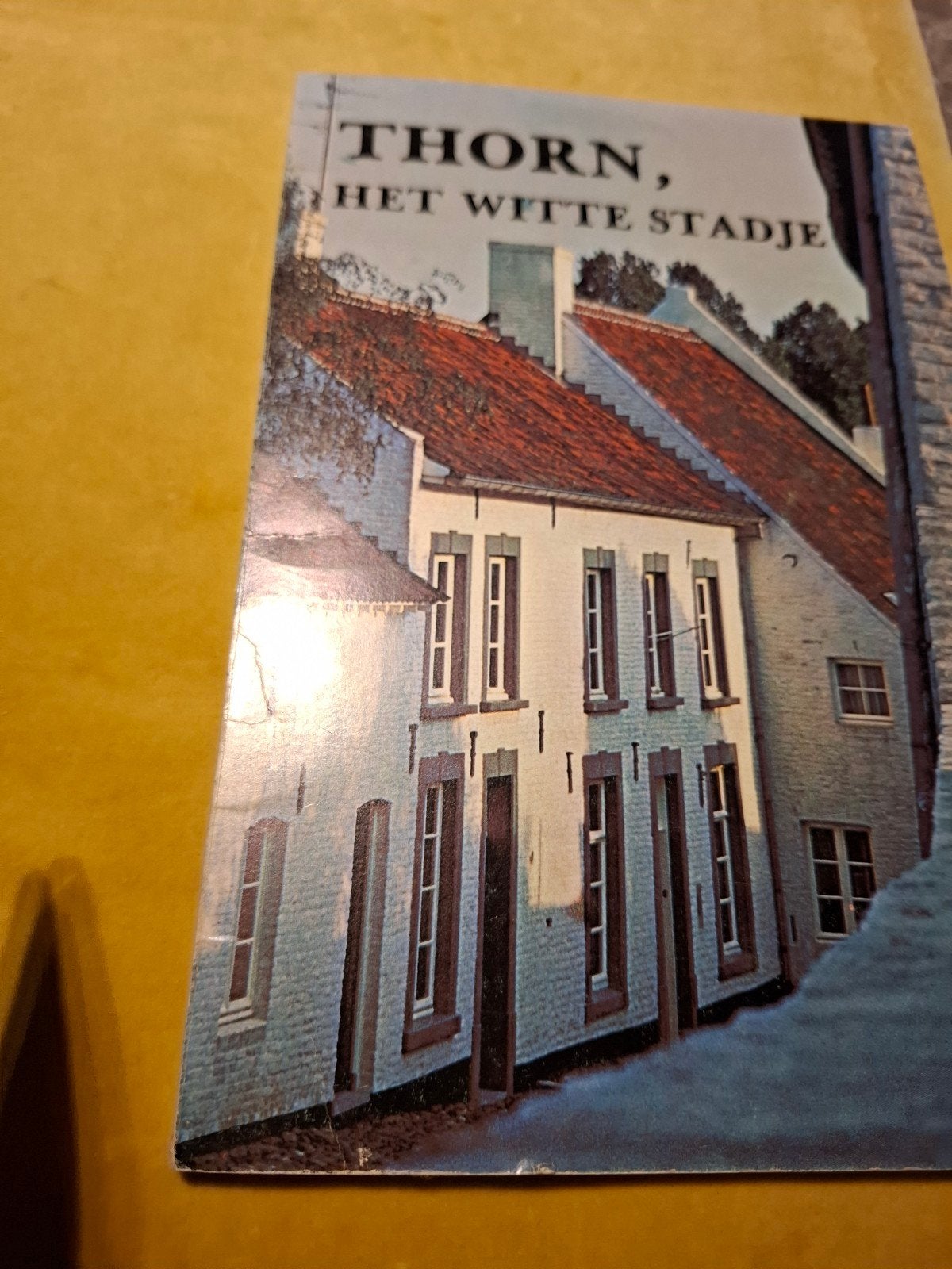 Thorn, Het Witte Stadje - Geschiedenis en Cultuur, Boeken, Ophalen of Verzenden, 20e eeuw of later, Gelezen, Onbekend