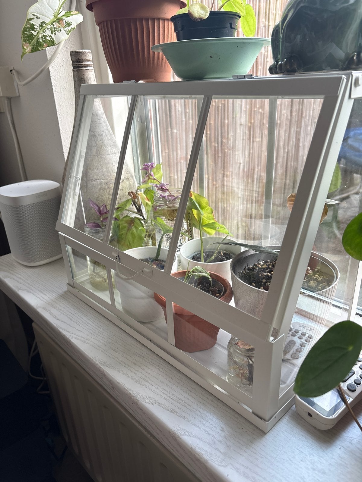 NIEUW - IKEA ÅKERBÄR Kweekkasje - Perfect voor uw planten, Ophalen of Verzenden, Nieuw