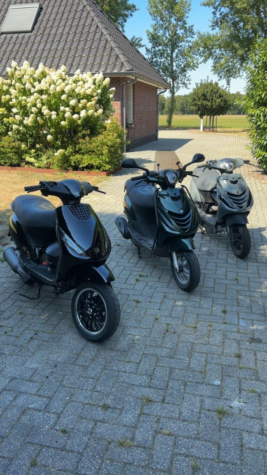 Piaggio Zip kappenset, Ophalen of Verzenden, Nieuw, Overige typen, Piaggio