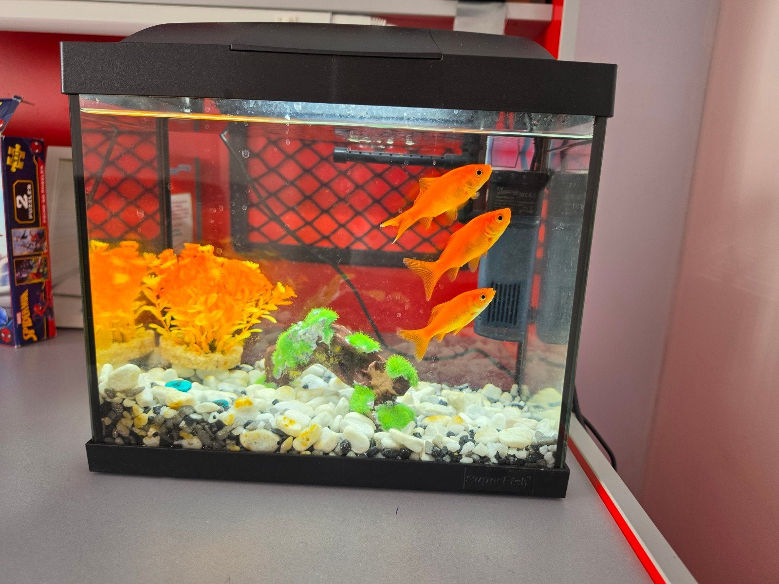 Aquarium 20 liter met filterpomp en lamp, Dieren en Toebehoren, Vissen | Aquaria en Toebehoren, Ophalen, Gebruikt, Verlichting of Verwarming