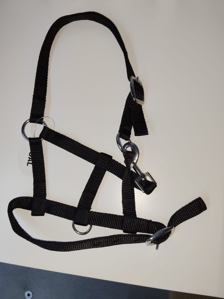 Veulenhalster Profi Rider zwart, Dieren en Toebehoren, Ophalen of Verzenden, Nieuw, Dressuur